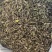 福鼎高山白茶白牡丹花香白牡丹500g散装茶叶