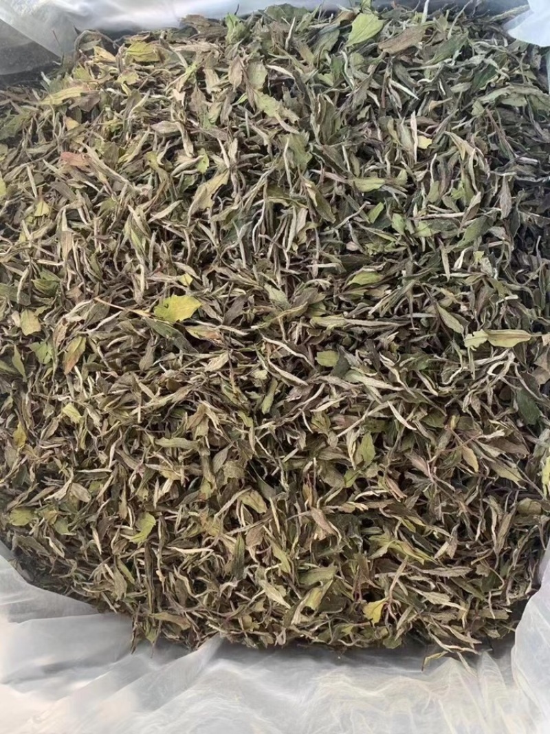 福鼎高山白茶白牡丹花香白牡丹500g散装茶叶