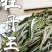福鼎高山白茶白牡丹花香白牡丹500g散装茶叶