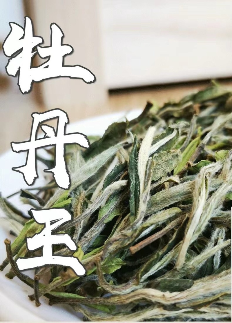 福鼎高山白茶白牡丹花香白牡丹500g散装茶叶