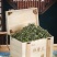 福鼎高山白茶白牡丹花香白牡丹500g散装茶叶