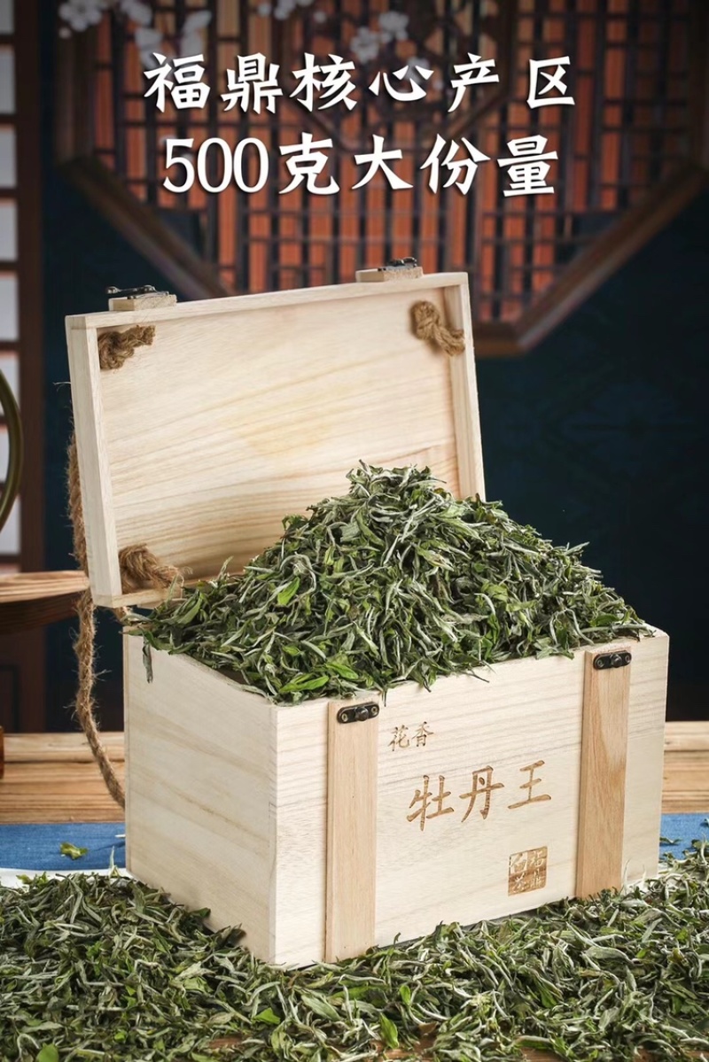 福鼎高山白茶白牡丹花香白牡丹500g散装茶叶
