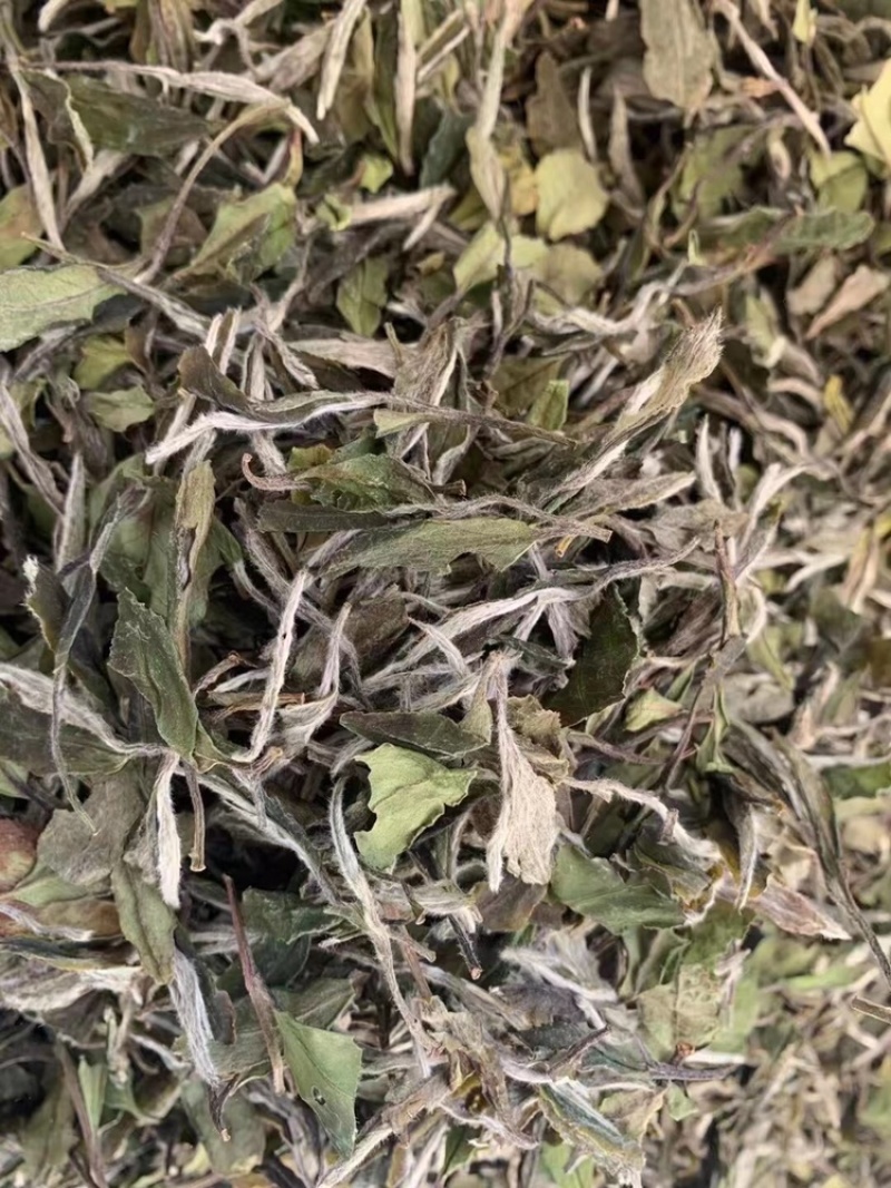 福鼎高山白茶白牡丹花香白牡丹500g散装茶叶