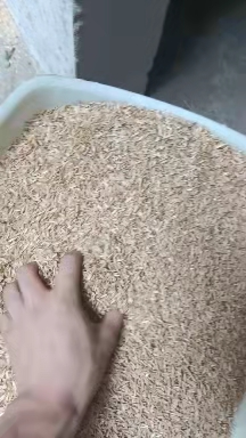 （精品）稻壳