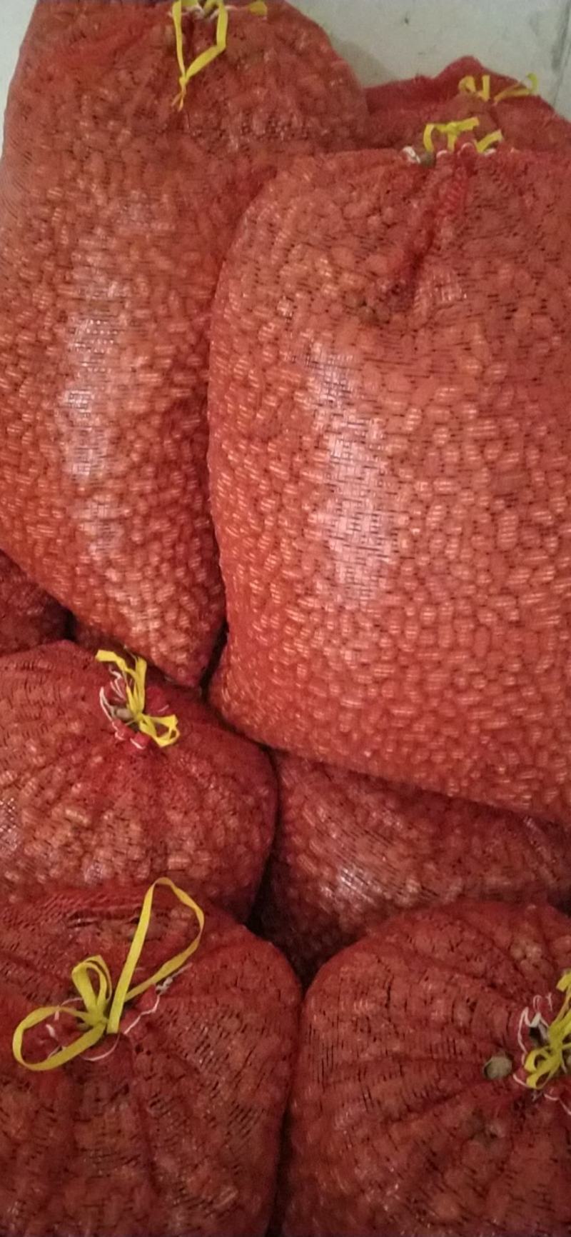 河南精品花生罗汉果产地直发品质保证一手货源量大从优