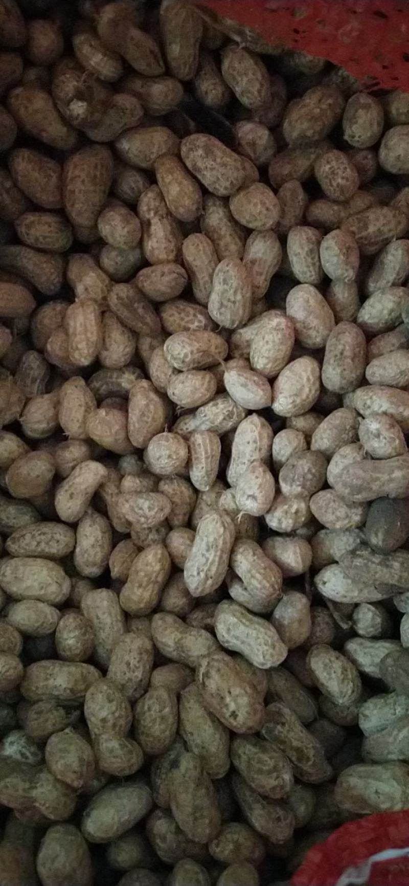 河南精品花生罗汉果产地直发品质保证一手货源量大从优