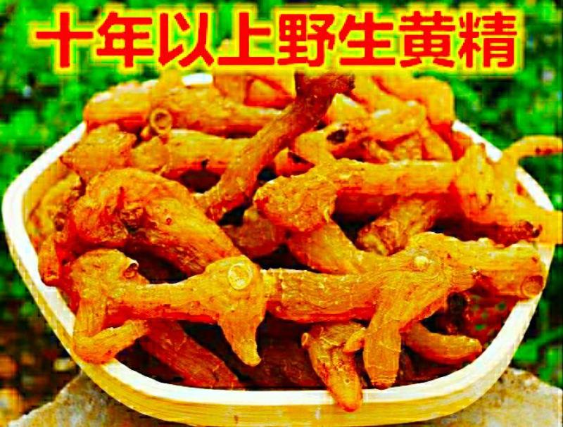 九华山鸡头黄精整个黄精九蒸九晒泡茶泡酒煲汤滋补珍品