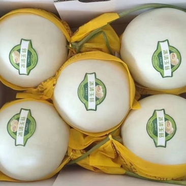 玉菇！！个头匀实！！口感甜！皮毛干净！