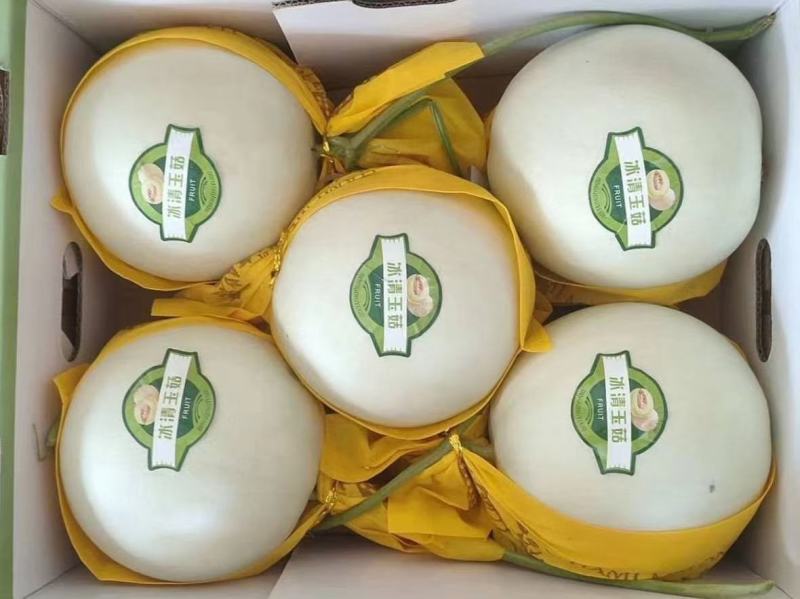 玉菇！！个头匀实！！口感甜！皮毛干净！