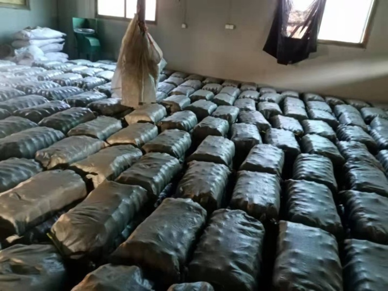 赤松茸菌种福建基地直供价格实惠有意者可电话联系