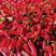 红泡椒湖北长阳高山红泡椒，自然红，硬度好，颜色鲜。