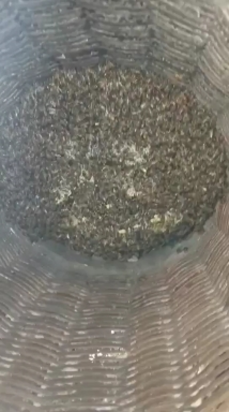 土蜂蜜！都是蜂群自然造脾自然采蜜的的野花蜜！