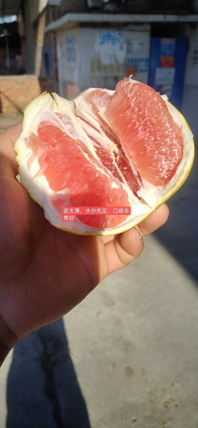 平和蜜柚