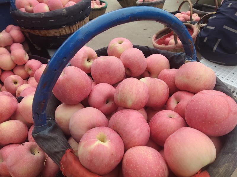 红富士苹果大量上市，新鲜当季水果，爽脆多汁红富士