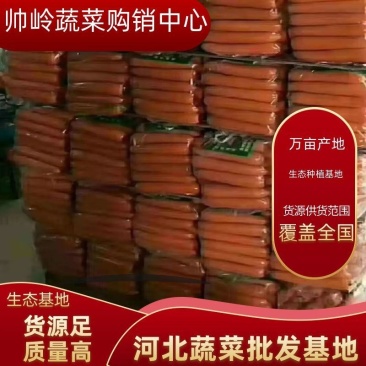精品红萝卜，一手货源，常年供应，保质保量！