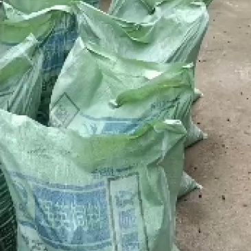 长期销售纯羊粪发酵羊粪价格美丽加个好友吧