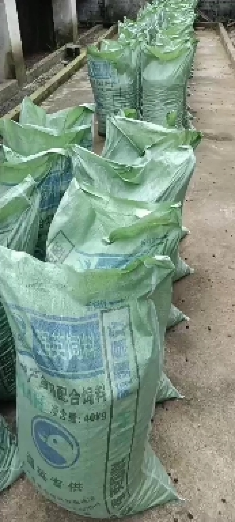 长期销售纯羊粪发酵羊粪价格美丽加个好友吧