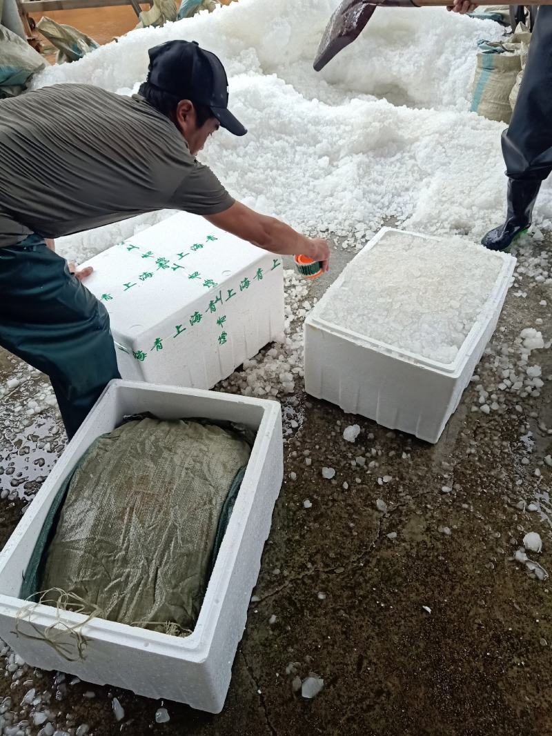 云南香葱泸西小葱，长年供货，产地直销，加工清洗一条龙服务