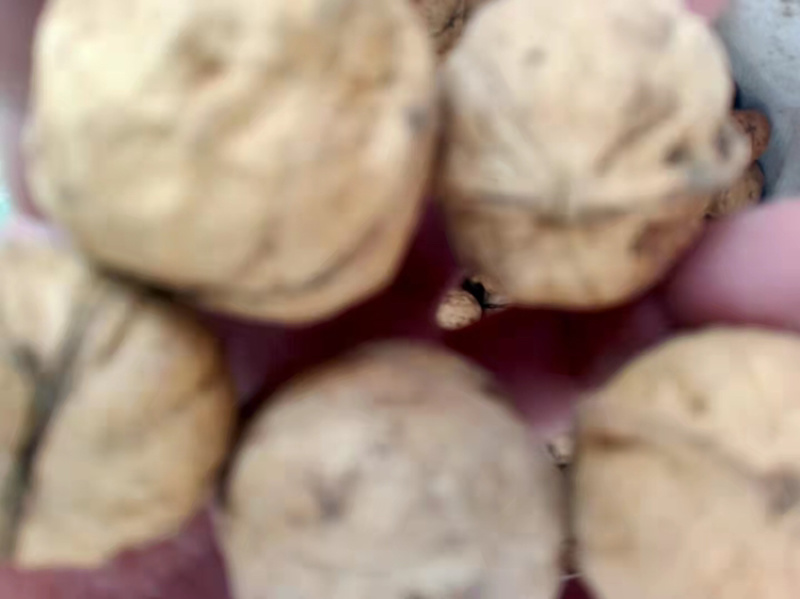 汾洲汾阳的本地薄皮核桃，里面包括的品类很多。货源充足品质保证