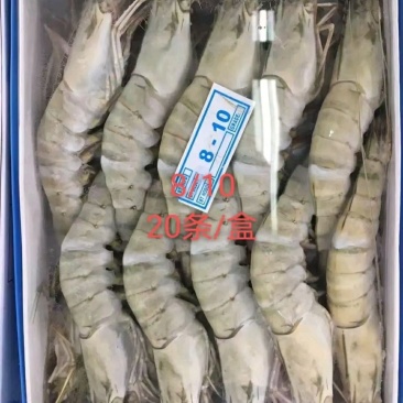 草虾北京供货地一手货源批发品质保证价格美丽欢迎合作！
