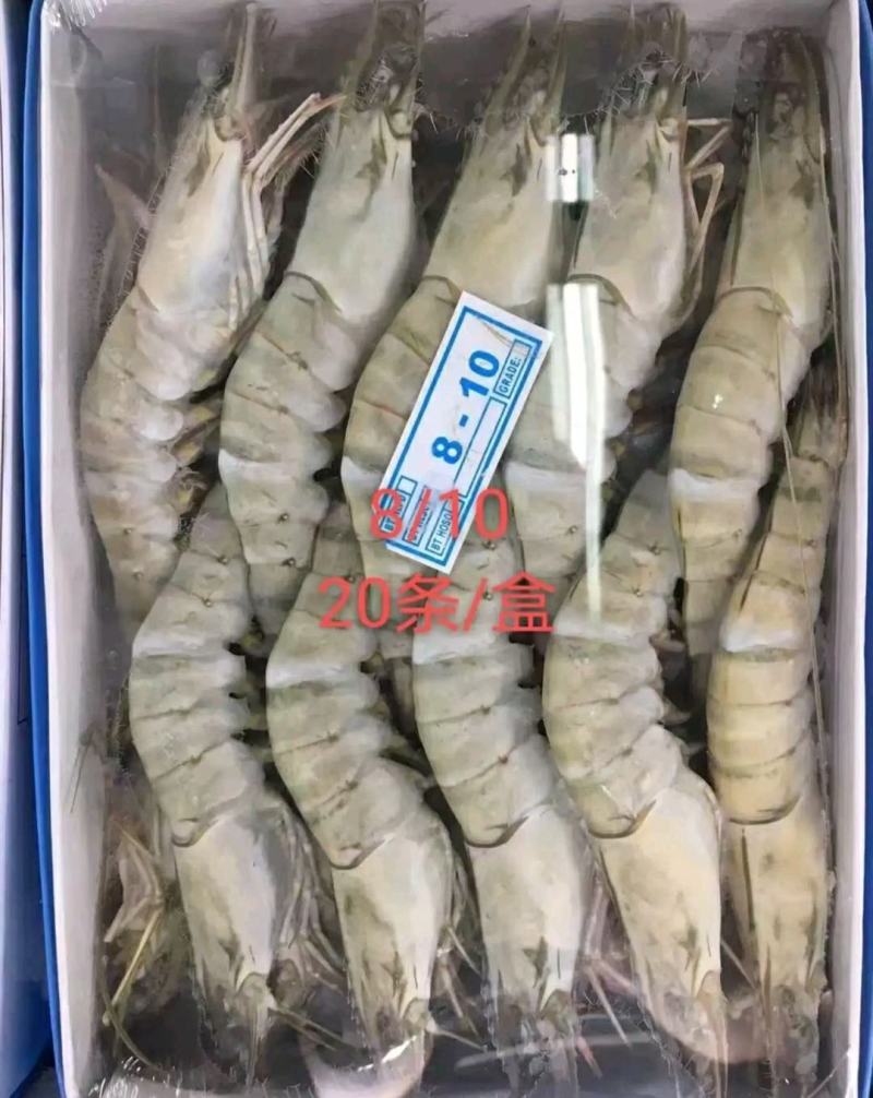 草虾北京供货地一手货源批发品质保证价格美丽欢迎合作！