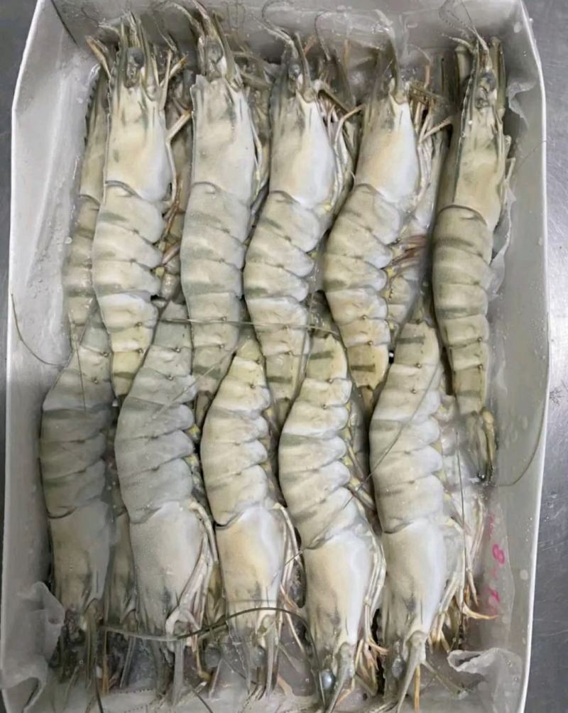 草虾北京供货地一手货源批发品质保证价格美丽欢迎合作！