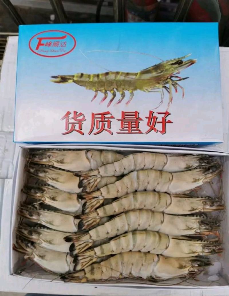 草虾北京供货地一手货源批发品质保证价格美丽欢迎合作！