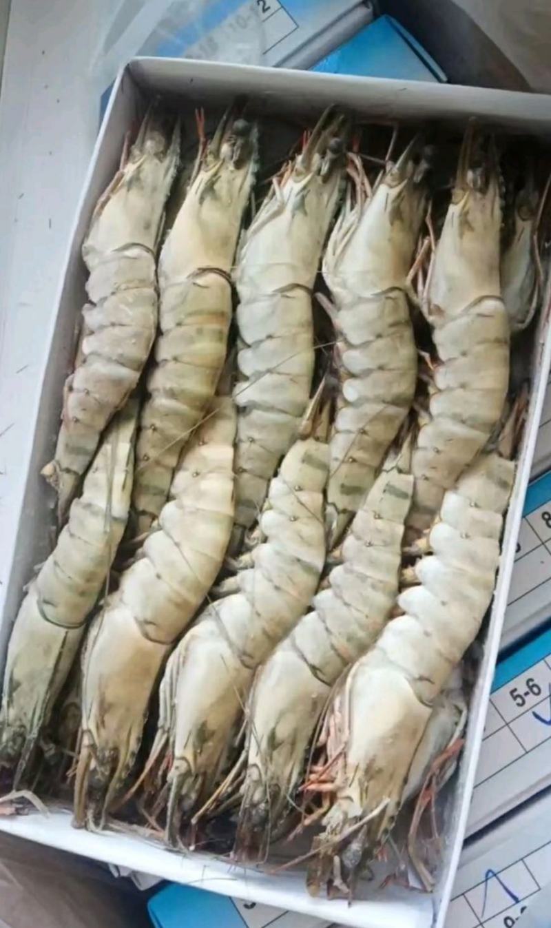 草虾北京供货地一手货源批发品质保证价格美丽欢迎合作！