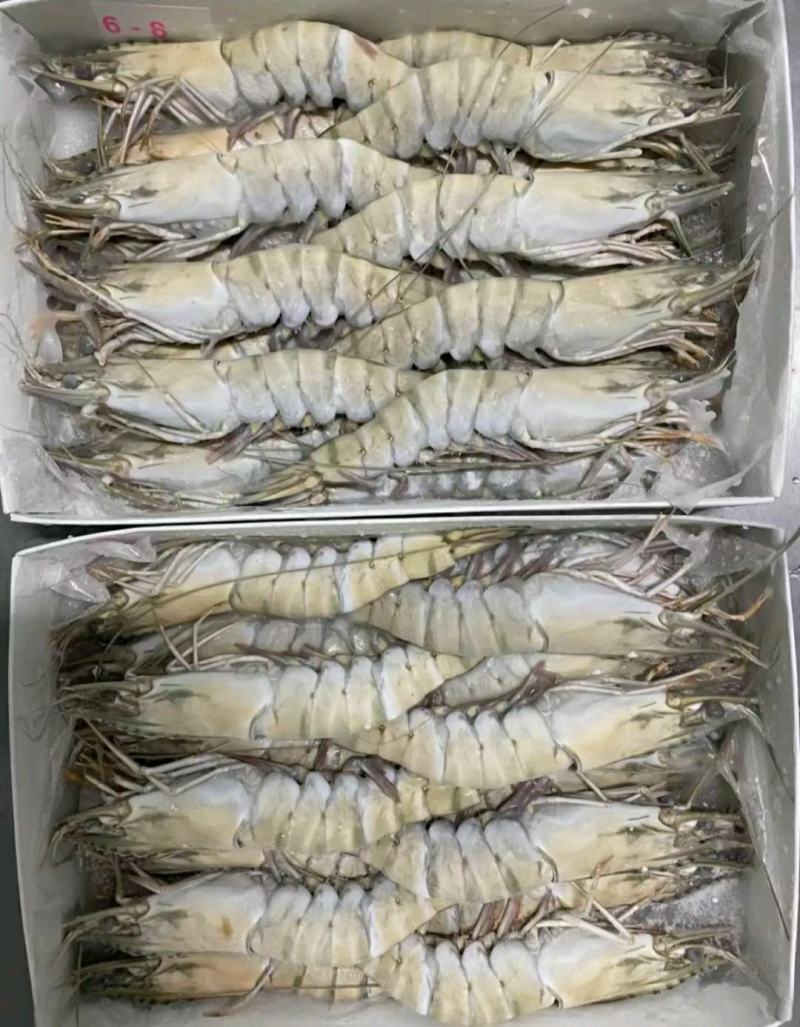 草虾北京供货地一手货源批发品质保证价格美丽欢迎合作！