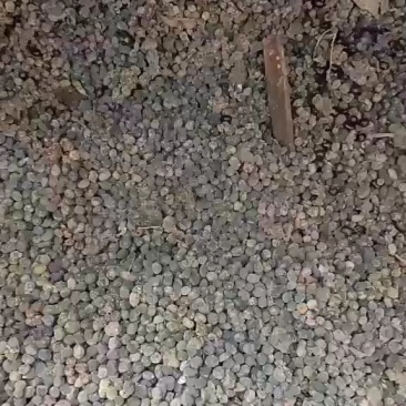 羊粪有机肥粪价格美丽羊粪发货要的可以联系我