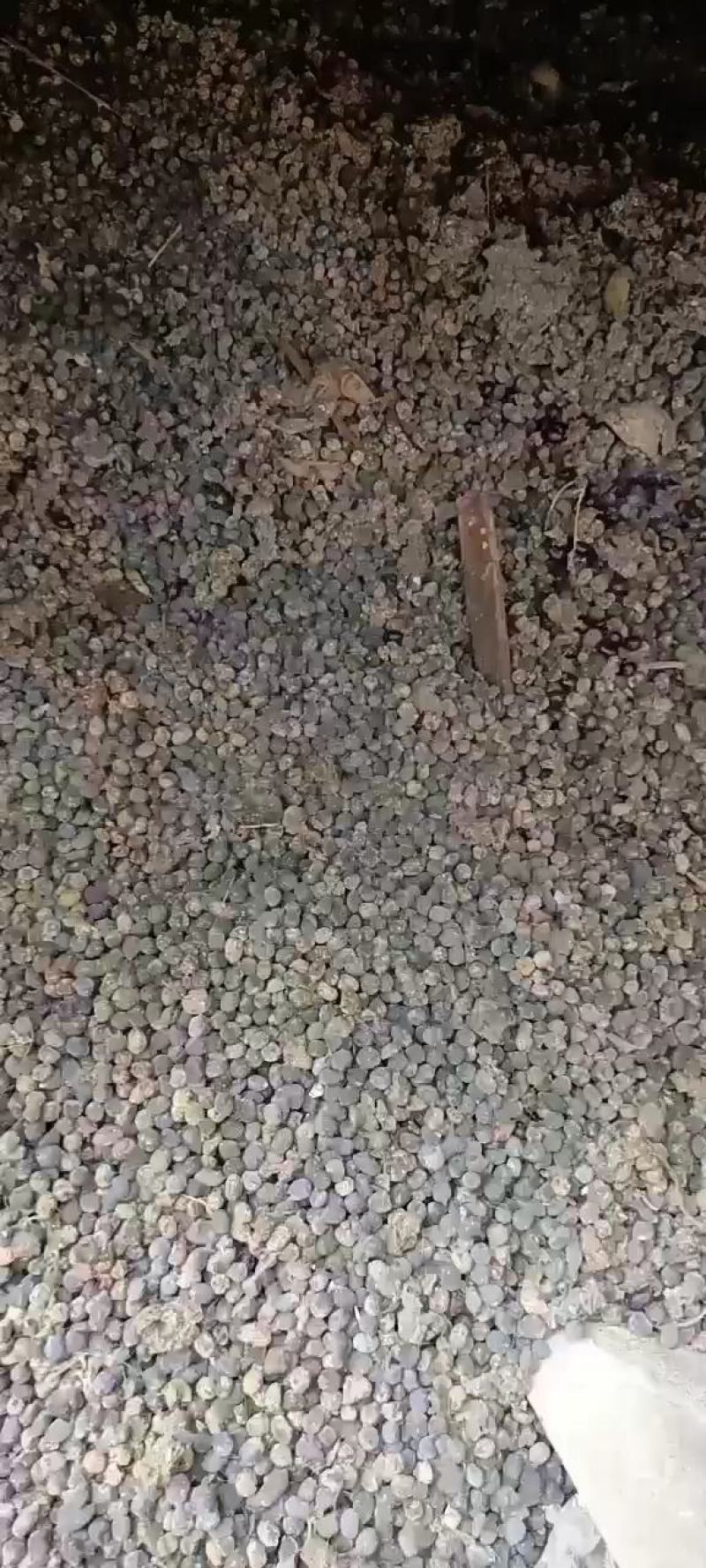 羊粪有机肥粪价格美丽羊粪发货要的可以联系我