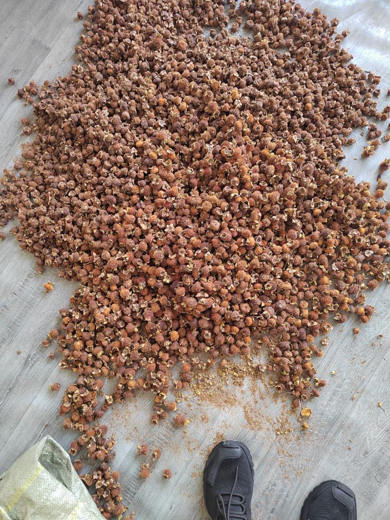 刺梨干货鲜货