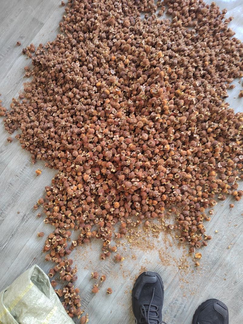 刺梨干货鲜货