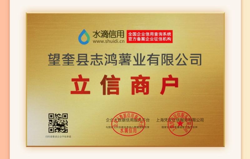 内蒙古牙克石荷兰十五土豆种子、荷兰806土豆种子，
