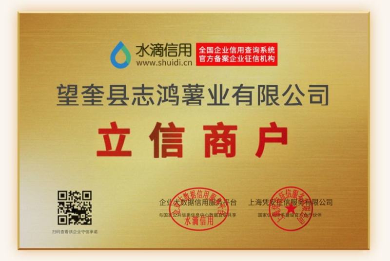 【优】黑龙江土豆种子，荷兰十五土豆种子，荷兰806种子