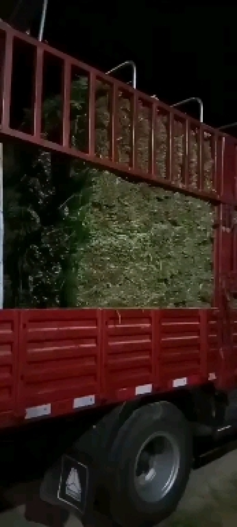 靖远韭菜大量上市，需要下单