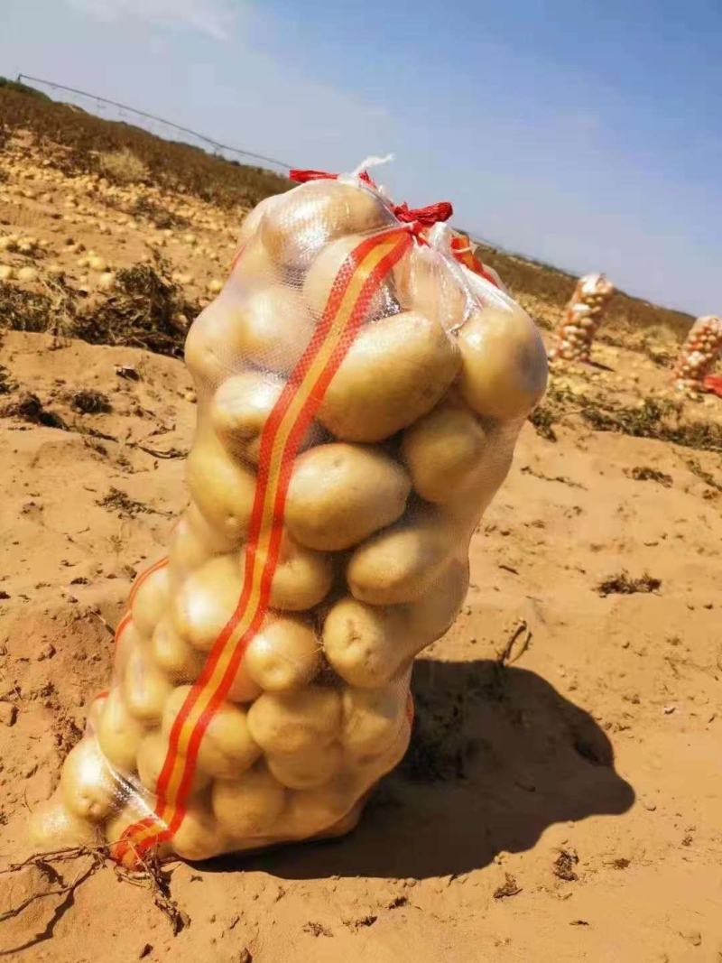 黄金薯尤金，荷兰，土延，新佳，微7土豆3两以上精品