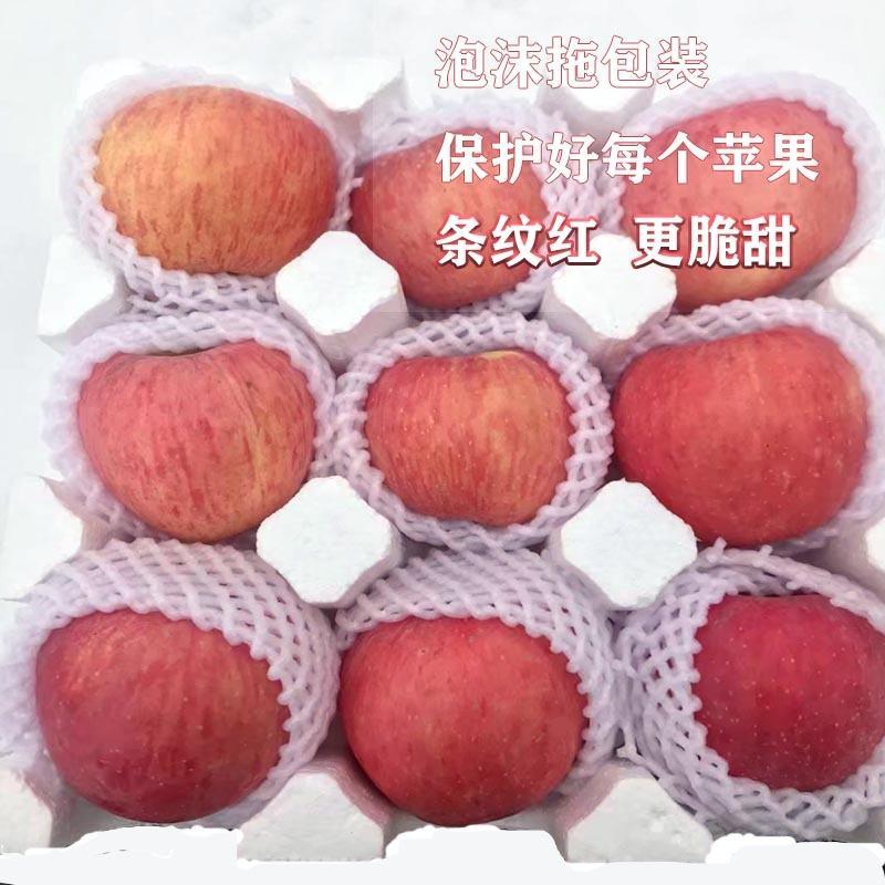 河北红富士苹果颜色鲜红货源稳定产地直发支持视频看