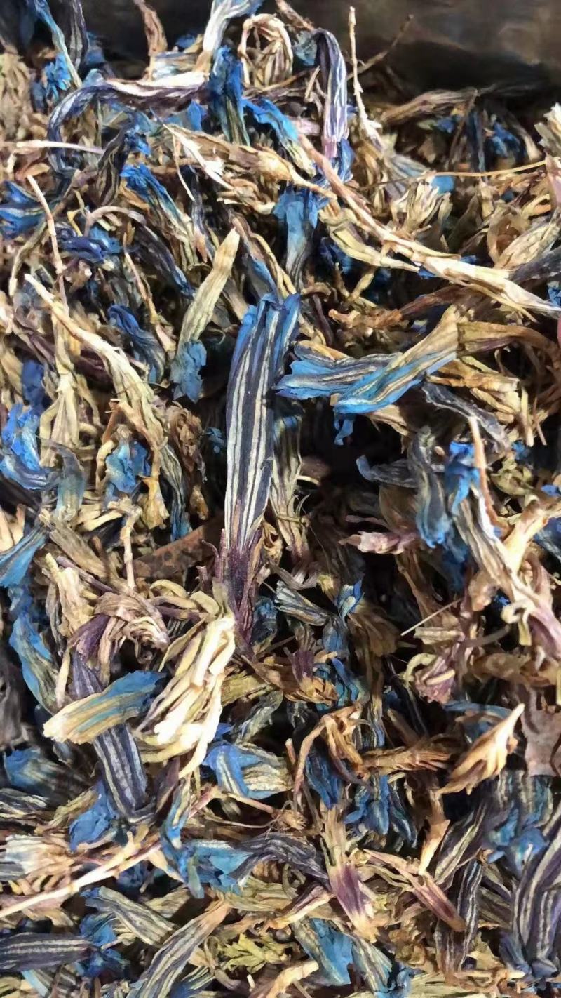肋柱花中药材冷背专营欢迎选购量大从优