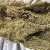 云雾草量大从优常年经营各种中药材