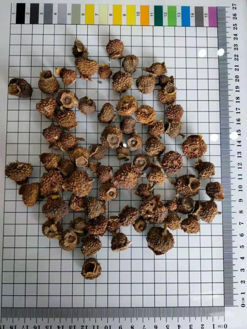 刺梨常年经营各种中药材欢迎选购！