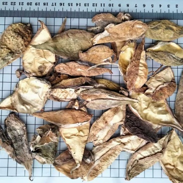 天浆壳量大从优常年经营各种中药材欢迎选购！