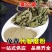 中药材纯超细蒲公英粉公英粉婆婆丁现磨粉包邮