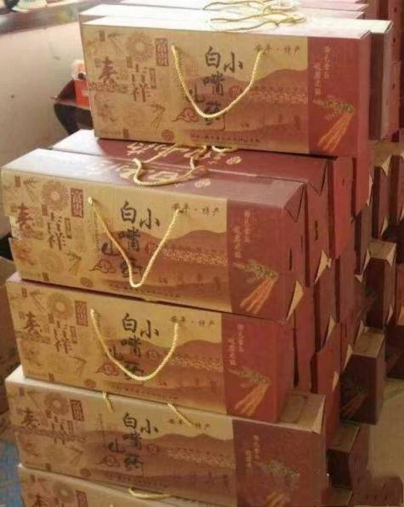 河北山药，小白嘴山药上市，自产自销，产地供应，欢迎联系