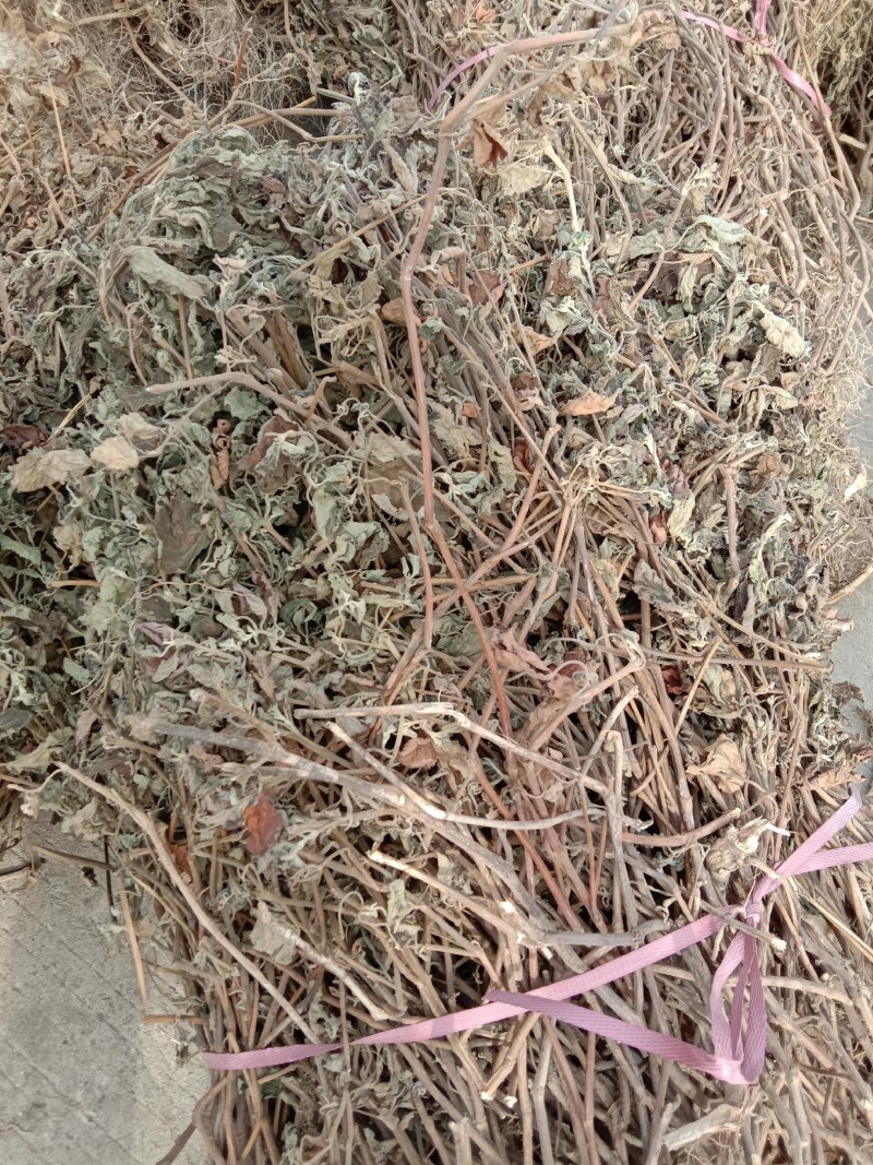 广藿香，正广藿香，气味浓郁，含量够足。新鲜干货，切段干货