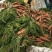 开封胡萝卜皮光色正水洗加工各种规格量大价优通许县基地直销