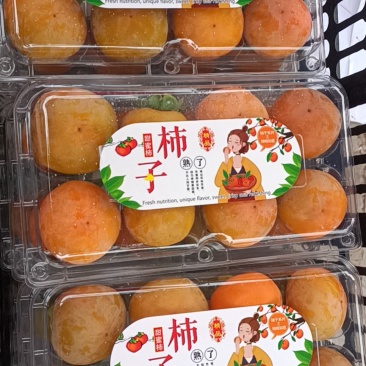 山西新鲜7月黄柿子爆甜水果蜜柿应季蜜罐软柿子甜火晶柿子