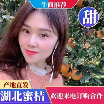 沙糖桔小叶桔基地直供以质论价品量保证欢迎订购