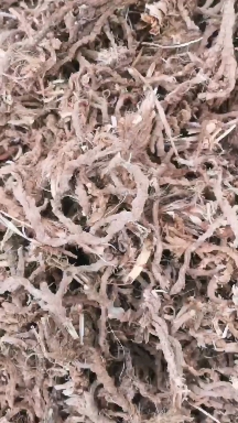 石菖蒲欢迎联系全网低价保质保量