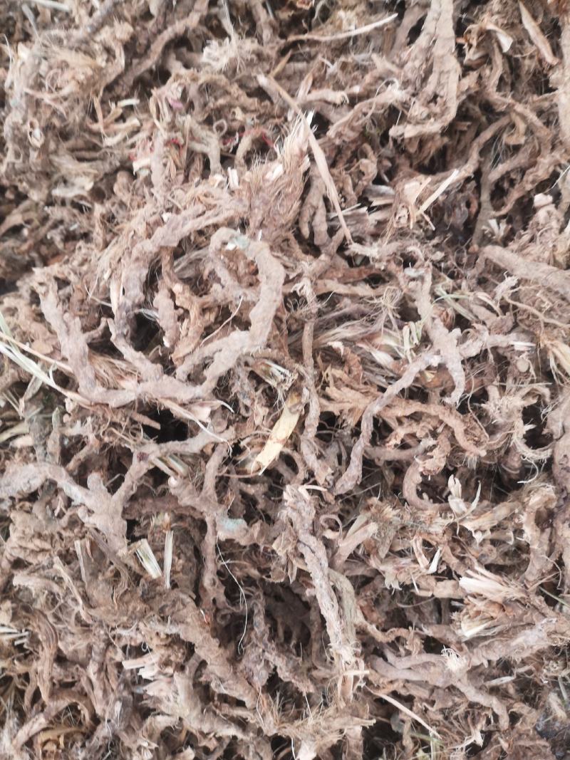 石菖蒲欢迎联系全网低价保质保量
